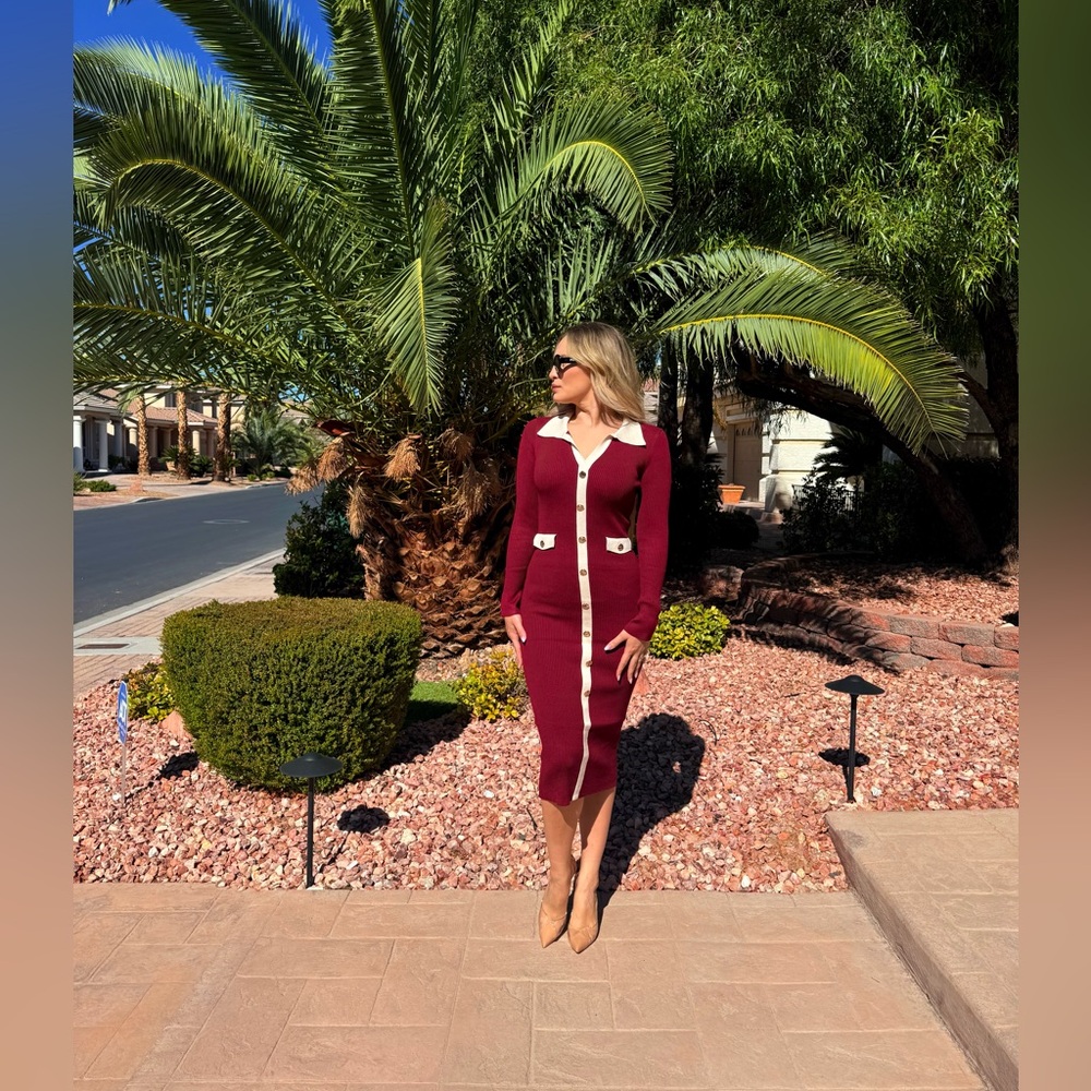 226 ‘Alex’ Elegant Burgundy and White Women's Dress - Picture 8 of 12